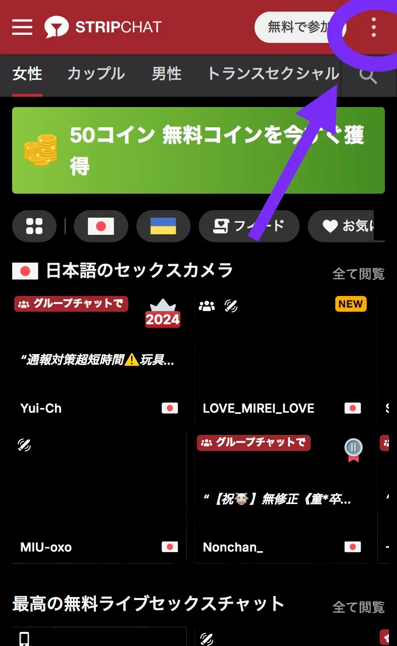 Stripchatログイン画面解説
